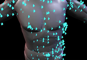 Mechanics and Motion Analysis
