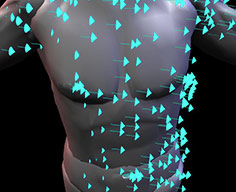 Mechanics and  Motion Analysis