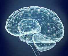 Mental training